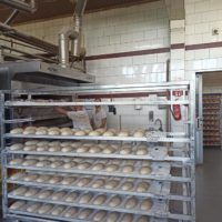 Pracownicy piekarni wkładają wyrośnięte bochenki chleba do pieca.