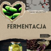 Strona tytułowa innowacji pedagogicznej -Fermentacja - nauka i sztuka