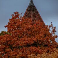 I miejsce w konkursie Kolory Jesieni Jan Braksiek