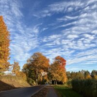 II miejsce w konkursie Kolory Jesieni Natalia Prusik