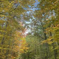 III miejsce w konkursie Kolory Jesieni Anna Korenkiewicz