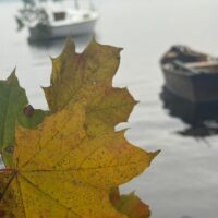 Nagroda publiczności w konkursie Kolory Jesieni Elena Jaśkowiak