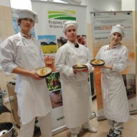 Tak prezentują się efekty pracy uczniów klasy 2Tab