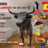 II miejsce - Nikola Osowska klasa 4Tb