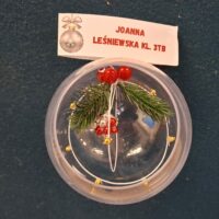 II miejsce zajęła Joanna Leśniewska klasa 3Tb