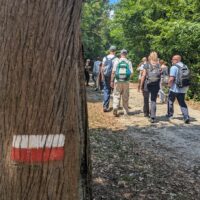 Spacerujemy po wzgórzu Monte Cassino